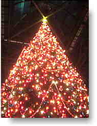 TDLのクリスマスツリー。やっぱ、きれい。