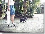 もうこんなに歩けます