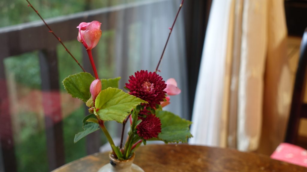 蛇の湯温泉 たから荘「室内の花」